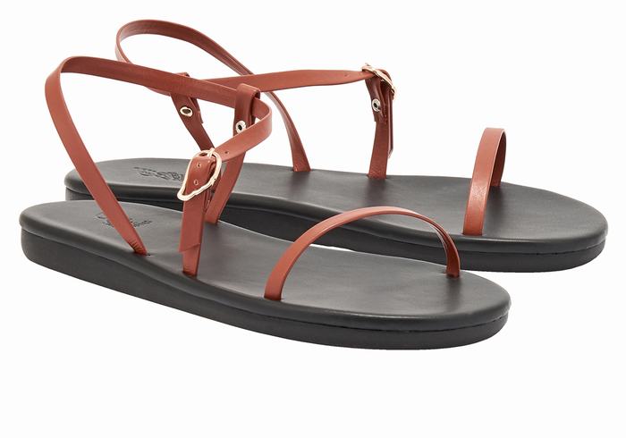 Sandales Bride Arrière Ancient Greek Sandals Niove   | IID-2292673